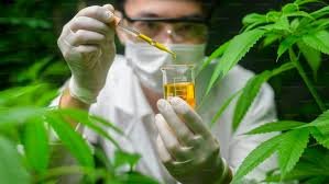 CBD Oil Goes Bad? Best Ways to Store It