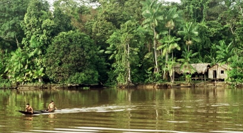 Amazonia News: Shocking Deforestation Updates