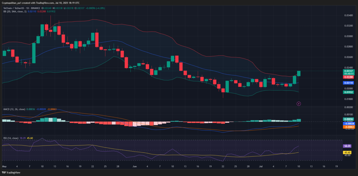 VeChain Price Prediction: Expert Analysis Market Forecast